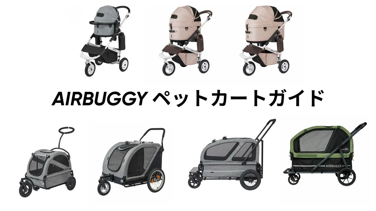 エアバギー購入の決定版ガイド