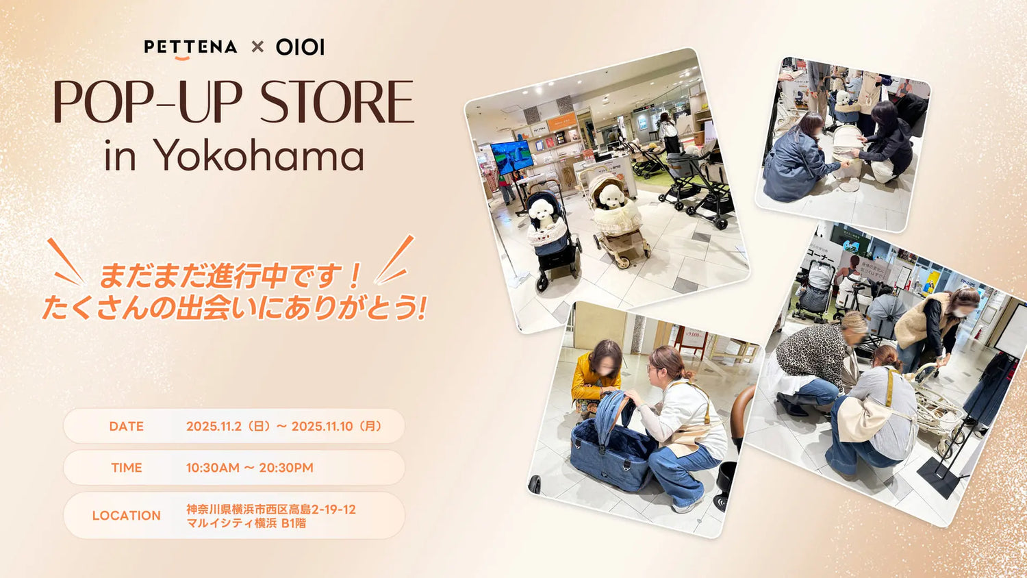 PETTENA POP-UP STORE in 横浜:ご好評につき、残り3日となりました!