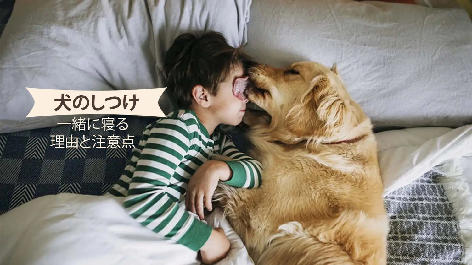 犬と一緒に寝る
