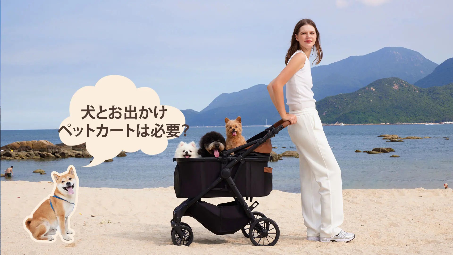 ペットカートは必要?いらない?抱っこ・バッグとの違いと必要性をわかりやすく解説|PETTENA