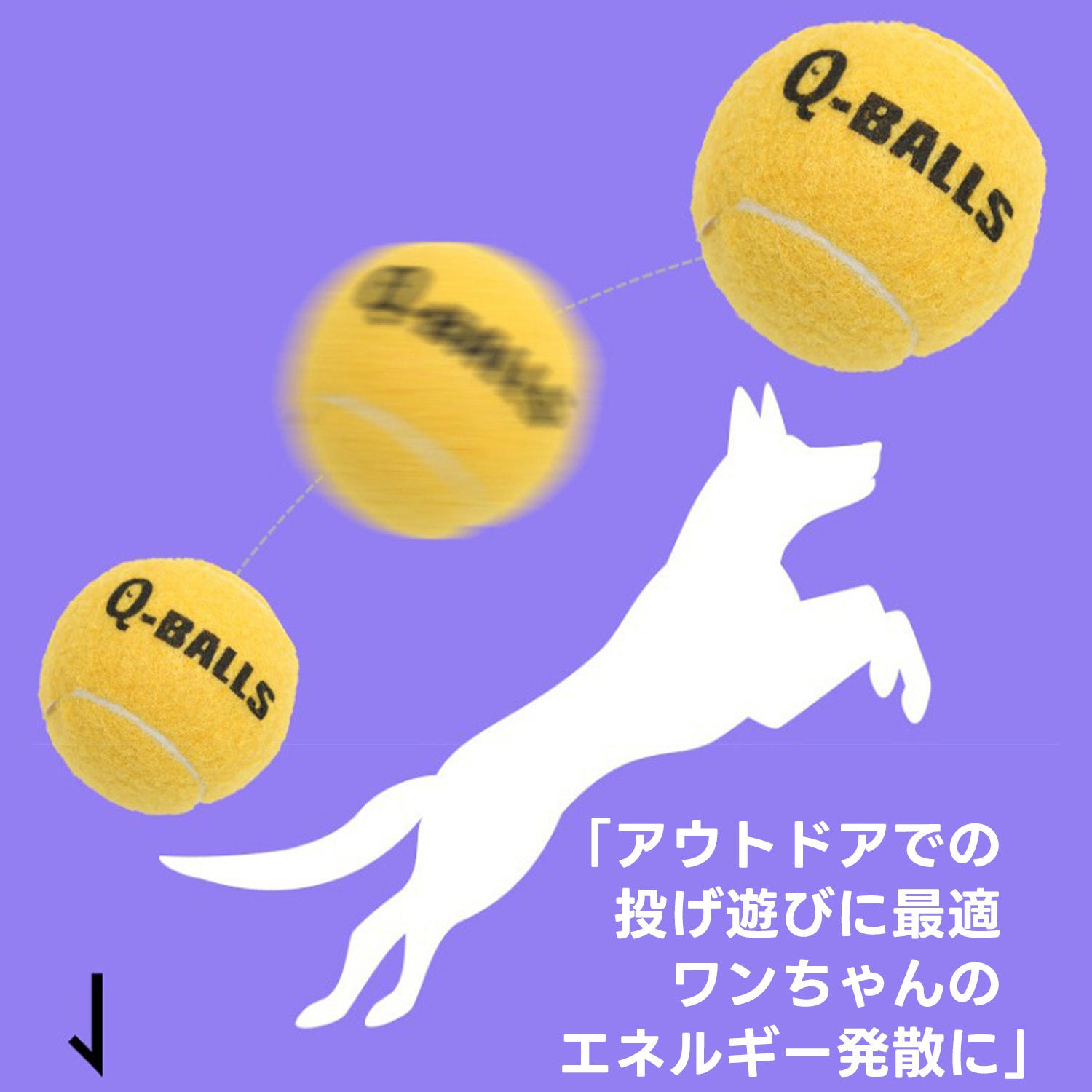PETTENA Select 浮遊型ペットテニスボール(4個セット)