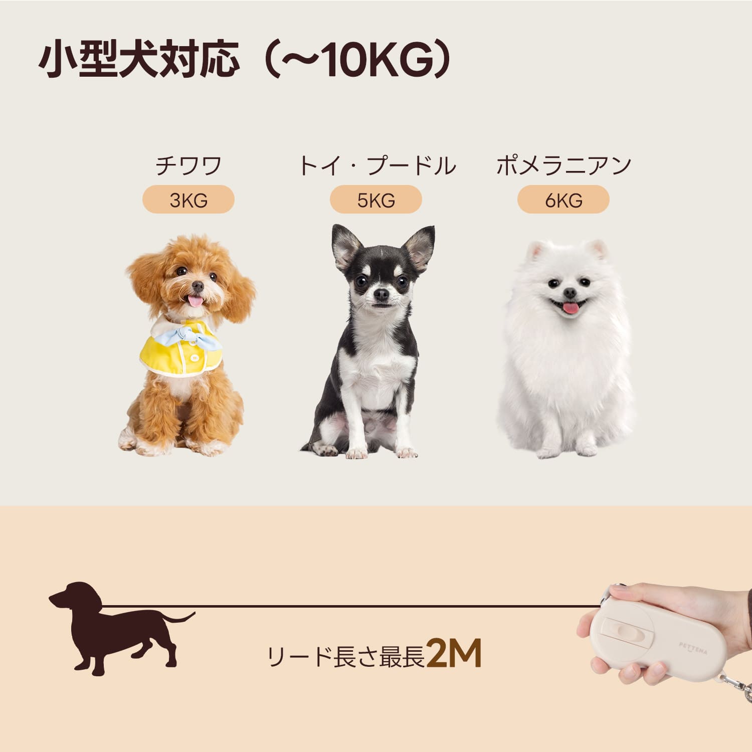 犬用伸縮リード 軽量ハンドグリップ式 - PETTENA AirHold