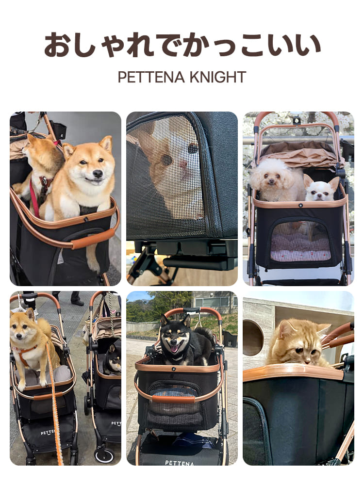 コスパ最高 - PETTENA KNIGHT