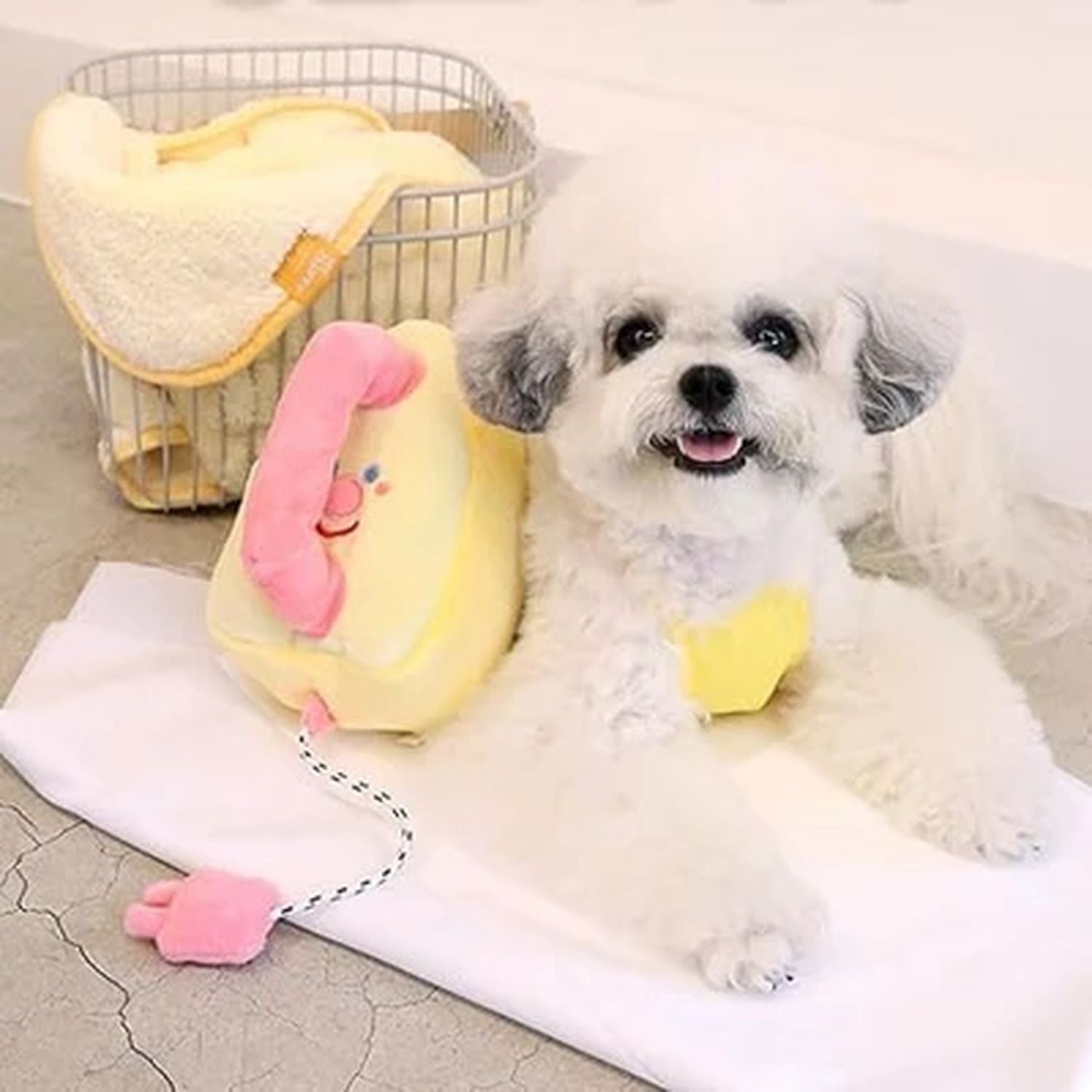 PETTENA Select 犬用咀嚼知育おもちゃ