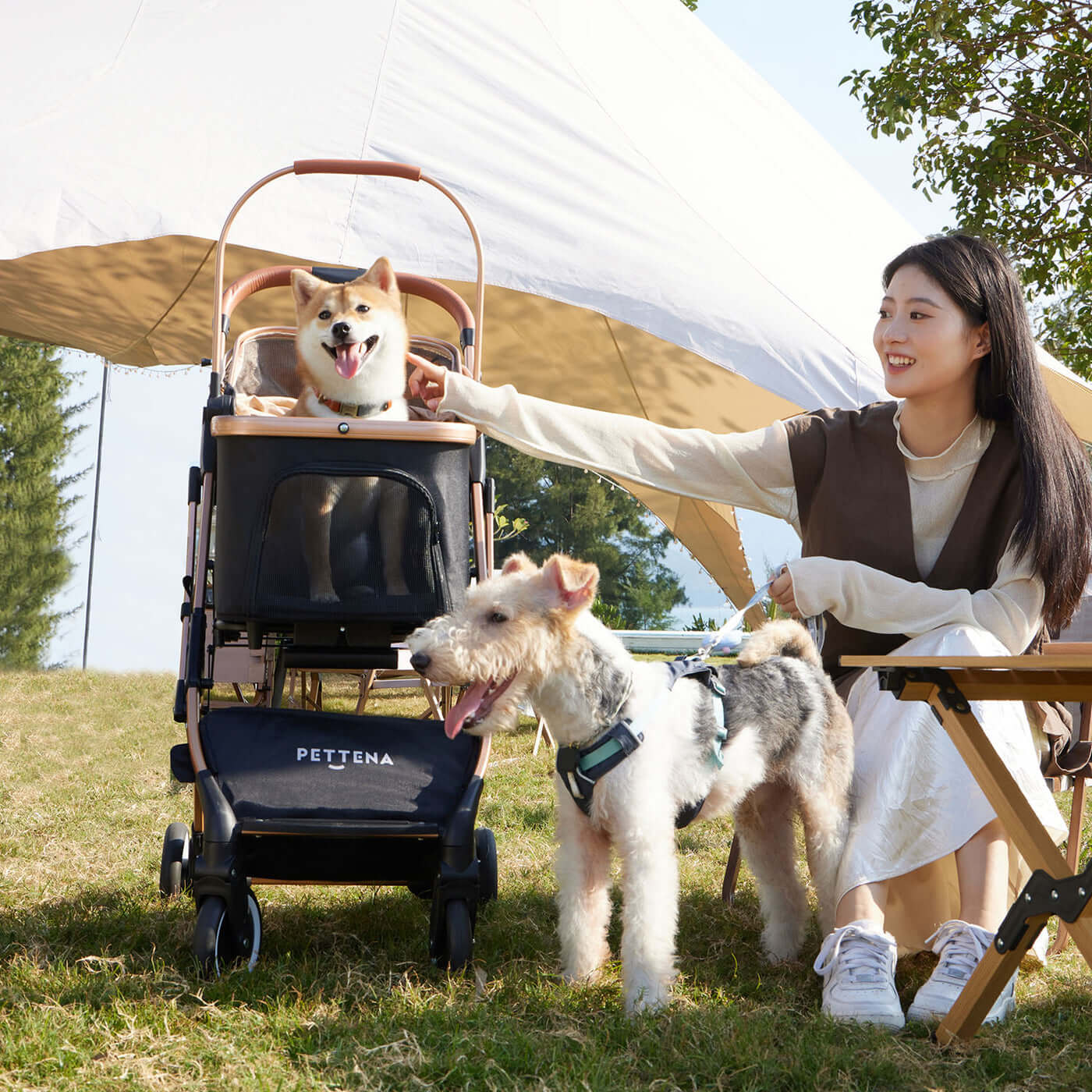 キャンプ場で愛犬・愛猫と楽しむならPETTENA KNIGHTペットカートが最適。4WAY多用途設計でカート、キャリー、ドライブボックス、ペットハウスとして使用可能。ワンタッチ折り畳みで簡単収納。衝撃吸収サスペンション搭載で快適移動を提供し、広々設計で複数のペットも楽に収納できます