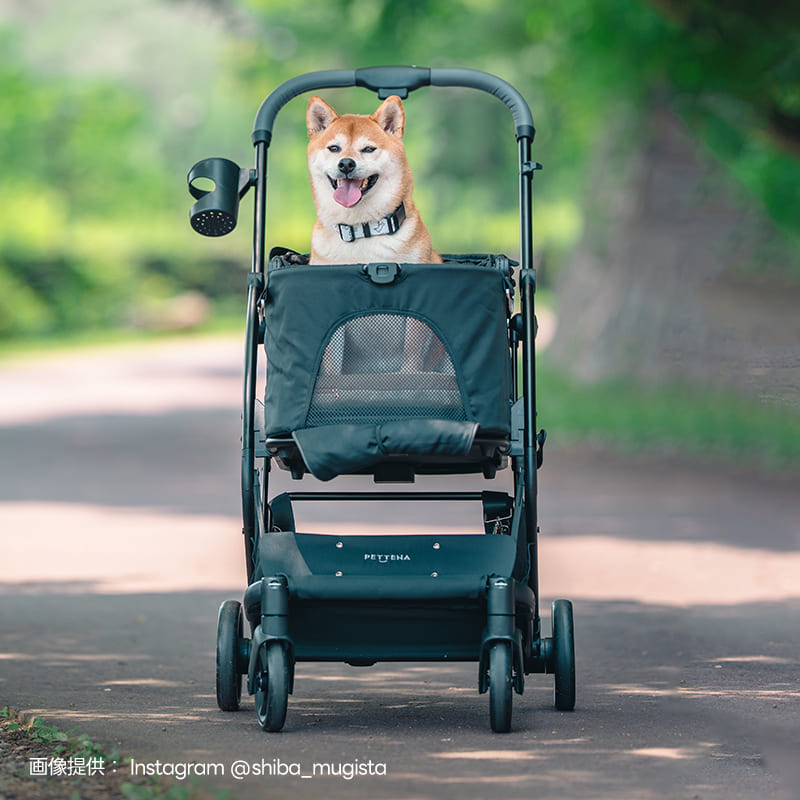 ワンタッチで全部折りたためる分離型ペットカート - PETTENA MILOU