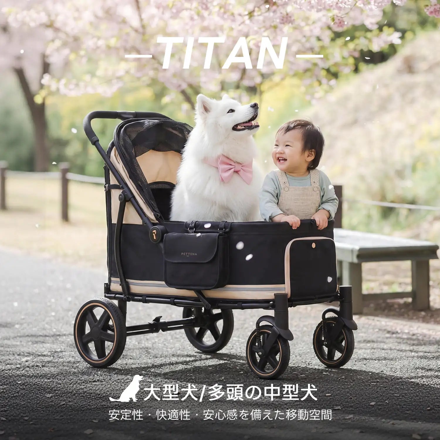 大型犬・多頭飼いの中型犬に対応したペットカート「PETTENA TITAN(タイタン)」。安定性・快適性・安心感を備えた移動空間。お花見シーンで子供とサモエド犬が並ぶ、広々としたコット設計。