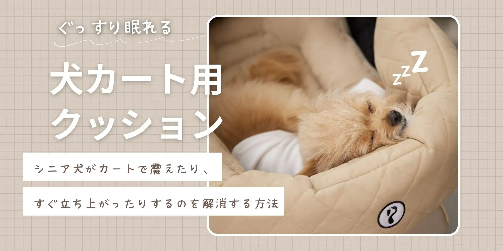 シニア犬の乗車をもっと快適にするアイテム―ペットカート用クッションでくっすり眠れる様子