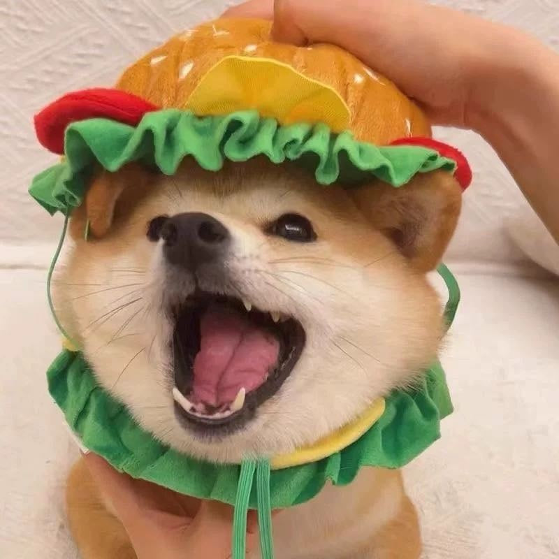 PETTENA ペット服 ソフトエリザベスカラー ハンバーガー型 犬猫用帽子