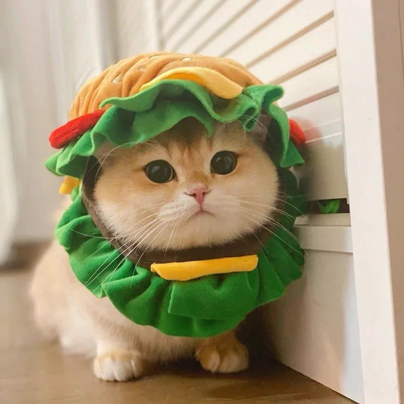 PETTENA ペット服 ソフトエリザベスカラー ハンバーガー型 犬猫用帽子