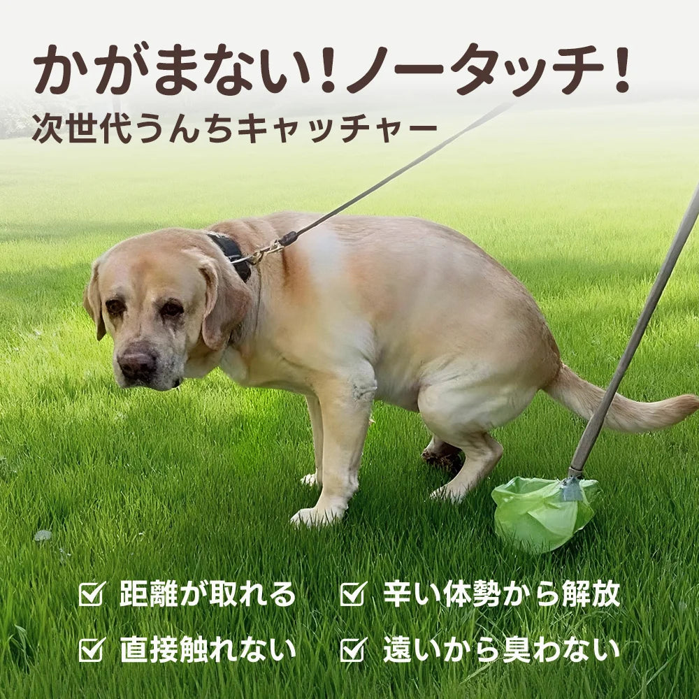 ラブラドールレトリバーの排泄中に伸縮スティックを差し出し、地面に落ちる前にキャッチする様子。専用袋で直接受けるため手も地面も汚さない。