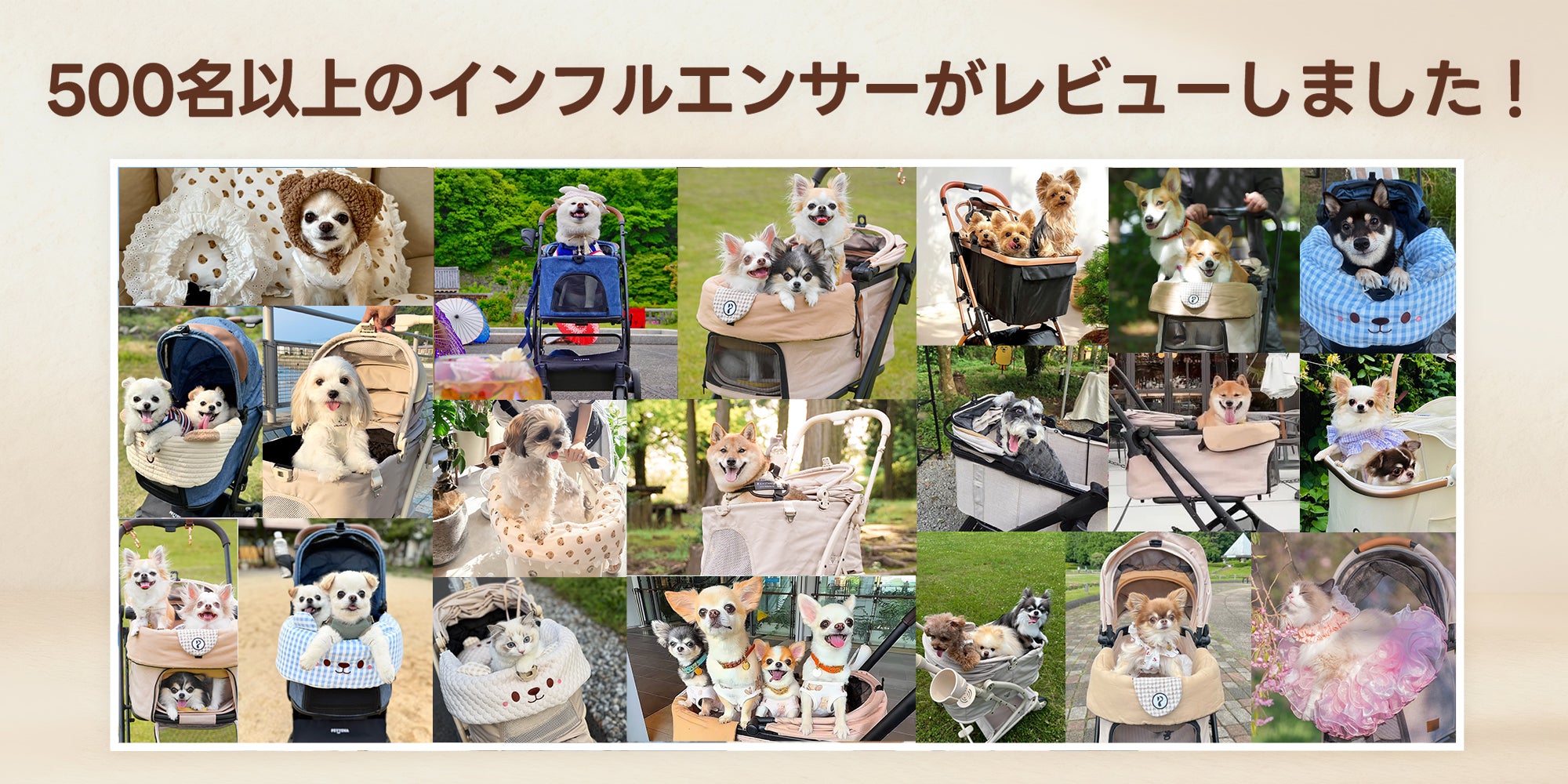 500名を超えるペットインフルエンサーがPETTENAのペットカートを実際に使用・評価するレビュー写真
