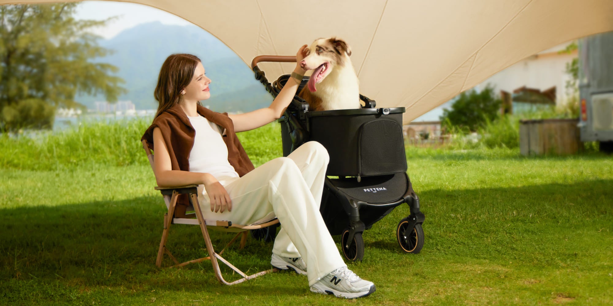 中型犬用軽量折りたたみ式ペットカートTERRAでボーダー・コリーとキャンプする写真