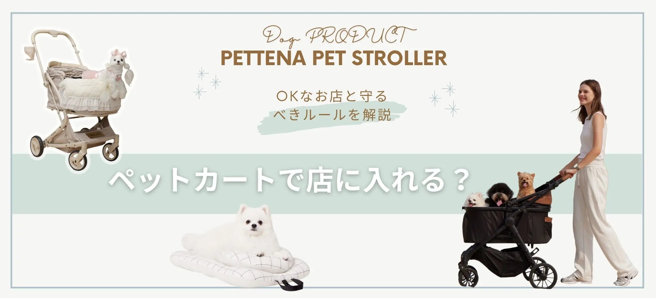 ペットカートでお店に入れる?OKなお店と守るべきルール