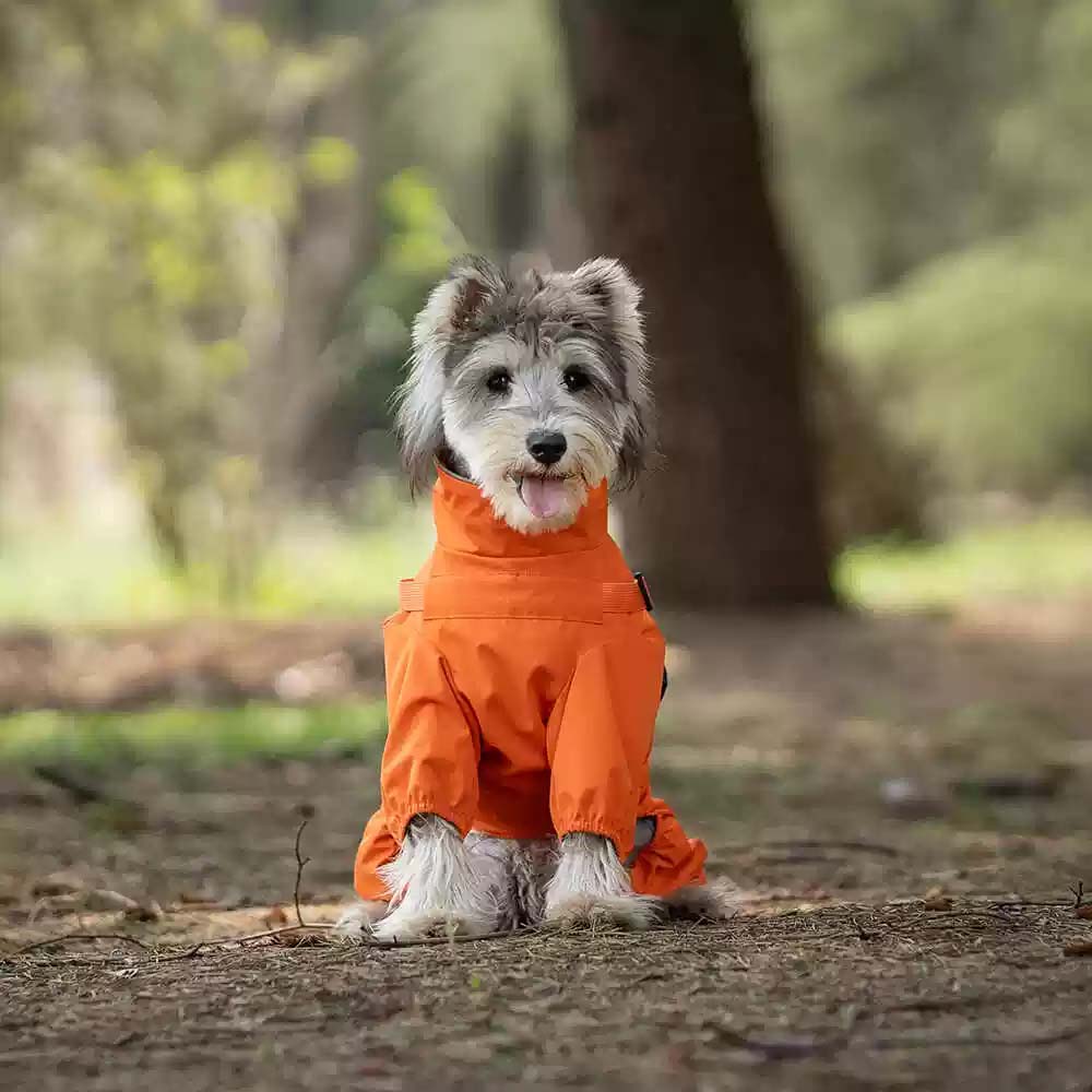 視認性抜群のオレンジ色を採用したアウトドア向け犬用レインコート。深い襟が首元の濡れをガードし、薄暗い雨の日や森の中でも愛犬の居場所がすぐに分かります。