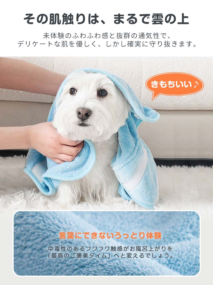 白い小型犬の顔周りを優しく包み込んでいるブルーのタオル地。雲のようなフワフワとした極上の質感が特徴。