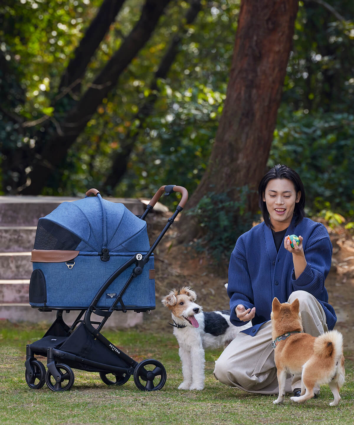 犬のカートで快適なお出かけ