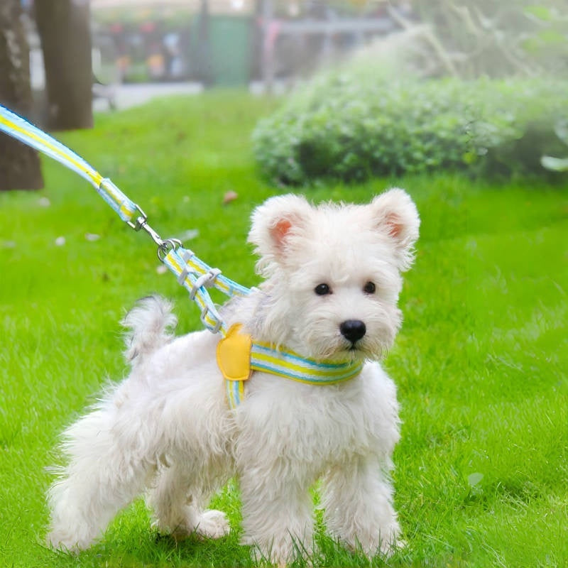 PETTENA Select 犬用軽量Y型ハーネス