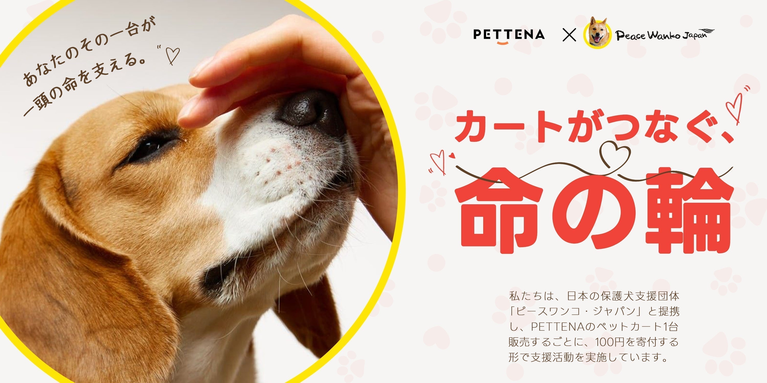 PETTENA×ピースワンコ・ジャパン、支援プロジェクトがスタート