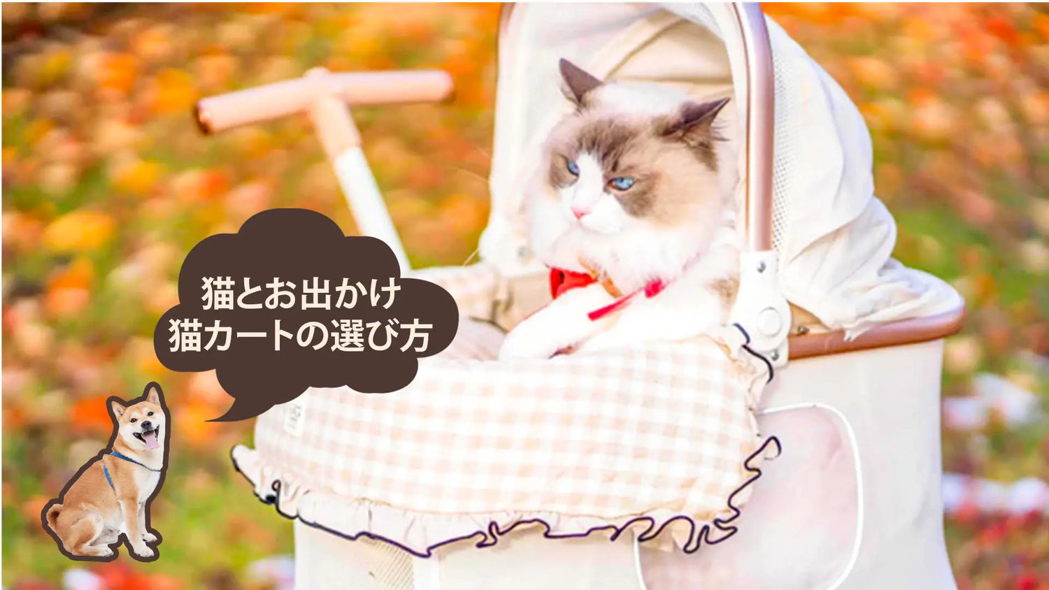 ペットカートに猫を乗せてもいい？カートの選び方、電車・バス・車のルールとストレス対策の全ガイド｜PETTENA
