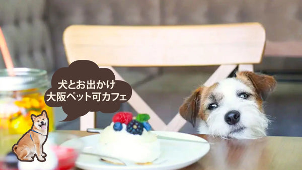 大阪のペット同伴カフェ