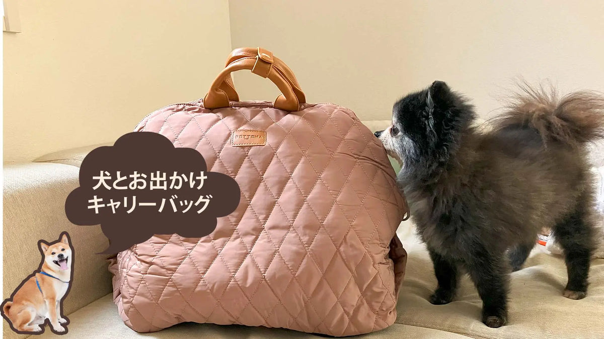 犬用キャリーバッグ
