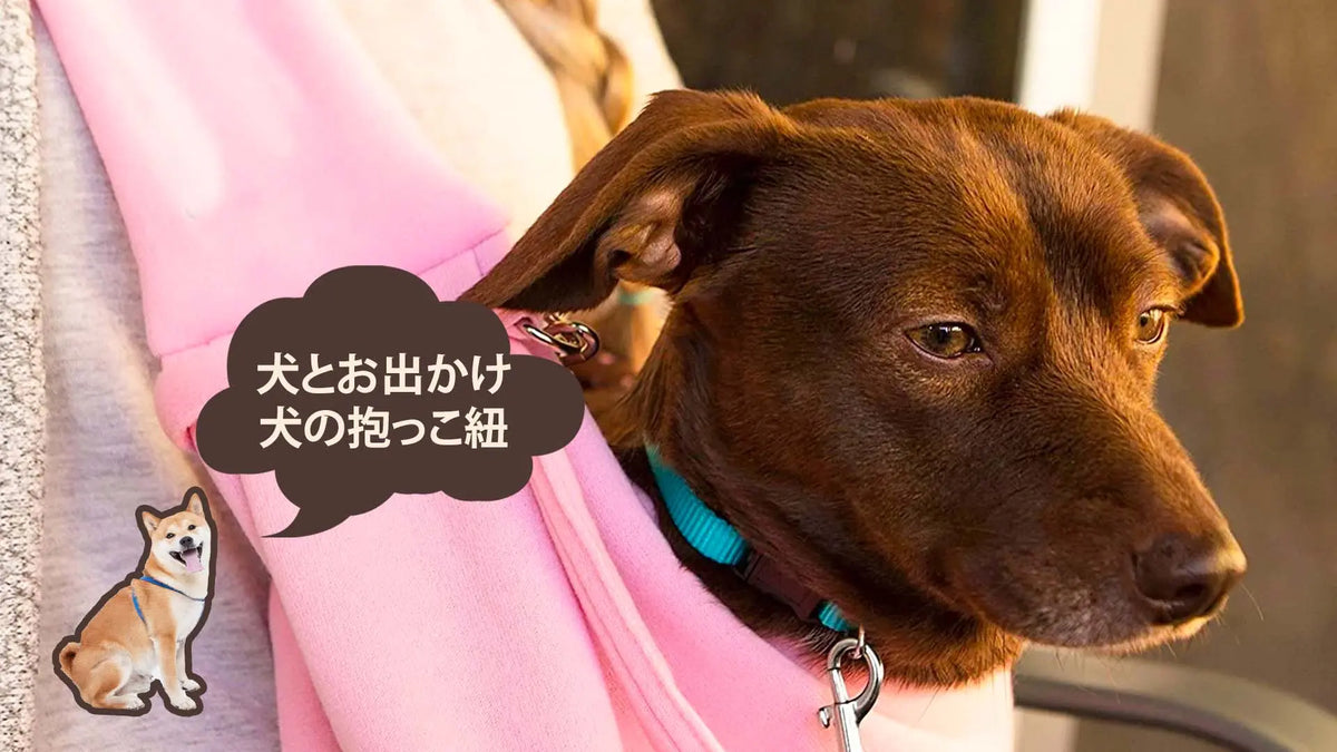 犬用スリング