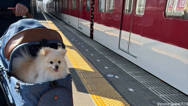 ペットカートで犬を電車に乗せる様子