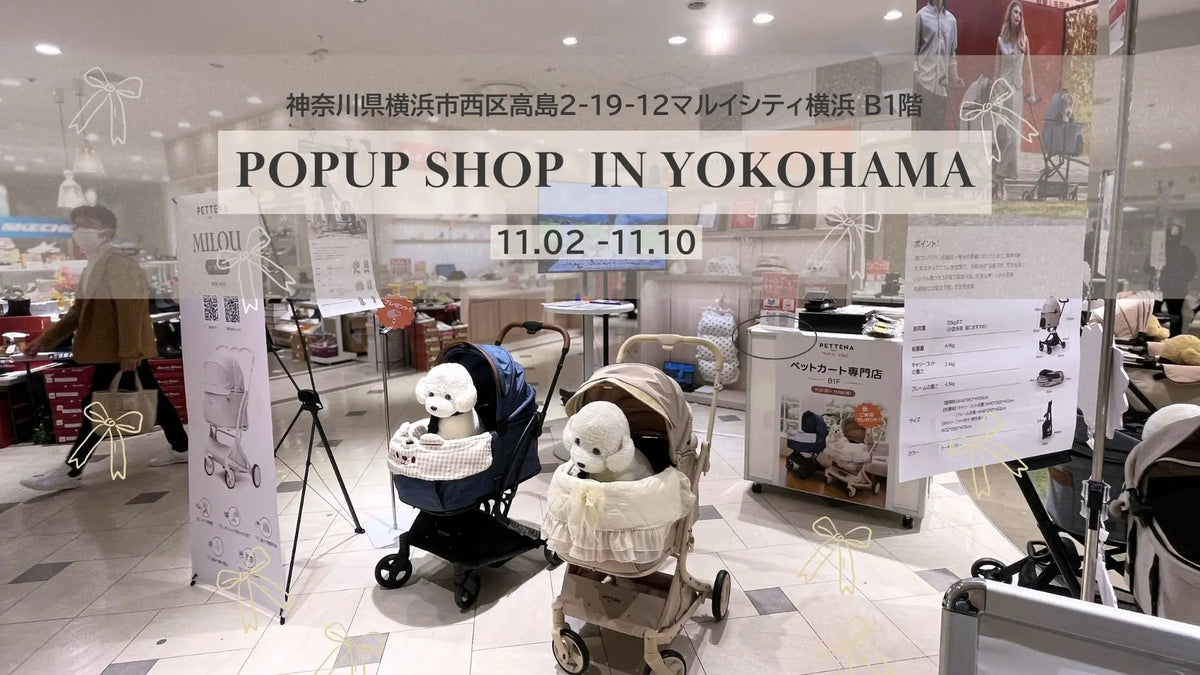PETTENA POP-UP STORE in Yokohama 開催中！