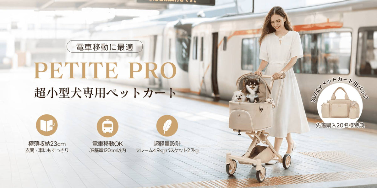 PETITE PRO 新発売｜小さな家族との都市移動を、もっと自由に