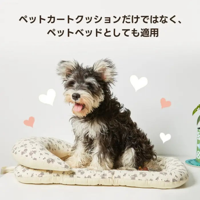 可愛い犬クッション