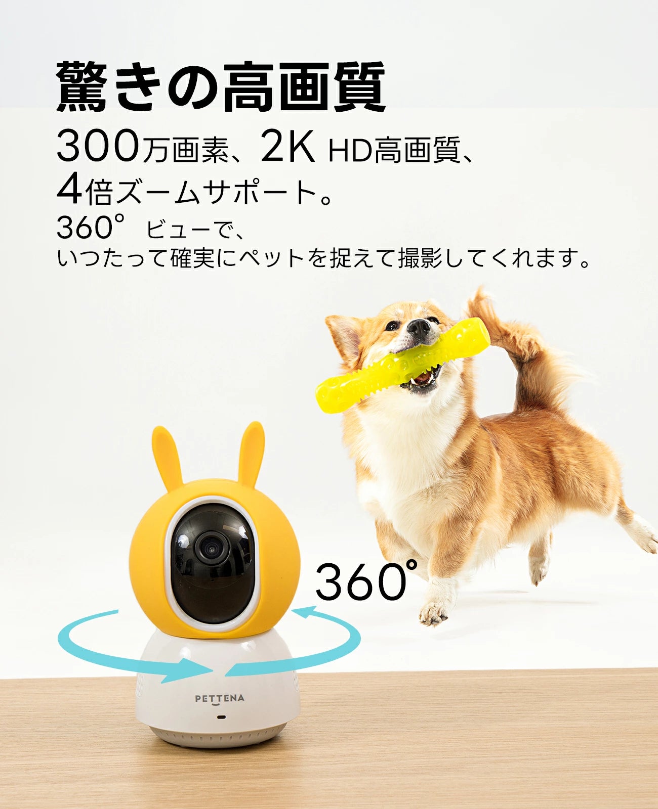 室内用小型ペット見守りカメラ
