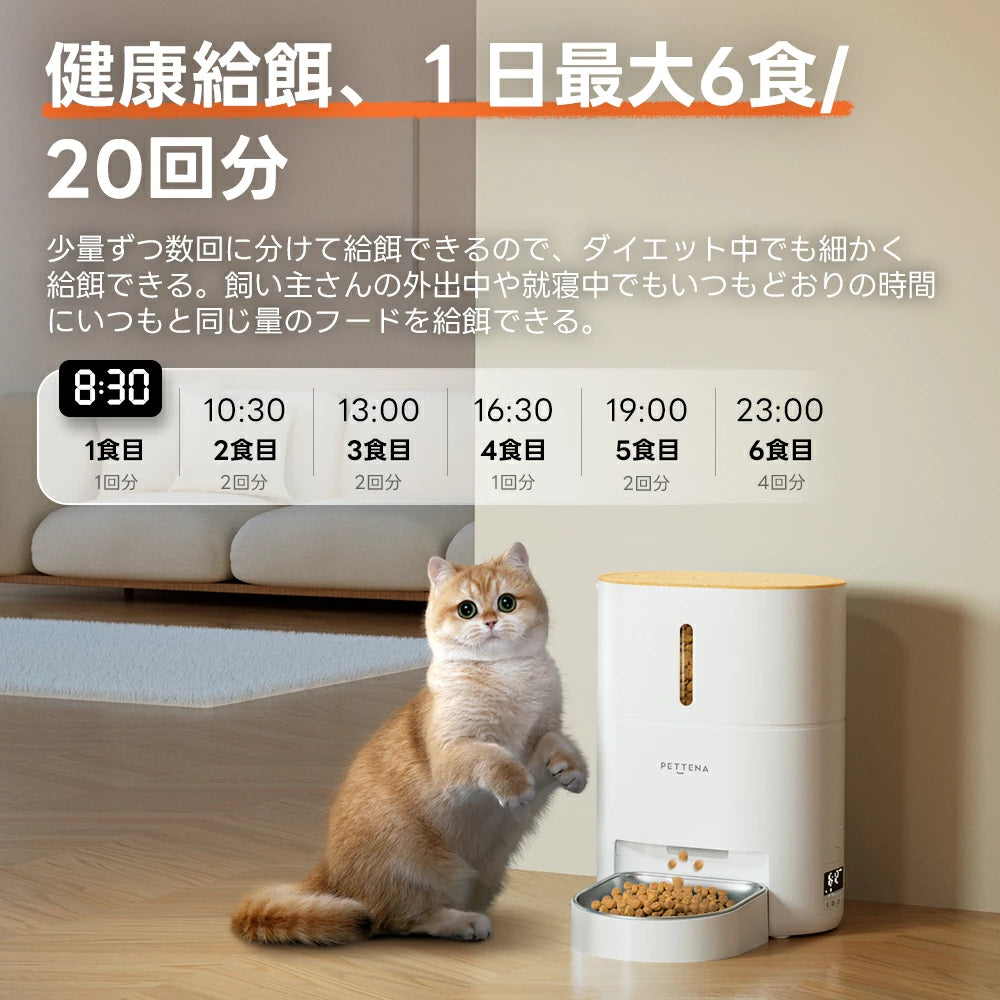 1日6食まで設定可能なPETTENA自動給餌器と食事を待つ猫。健康管理やダイエットに適した細かい量調整機能で、留守中もいつも通り給餌できます。