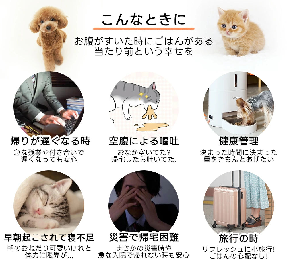 犬猫用自動給餌器