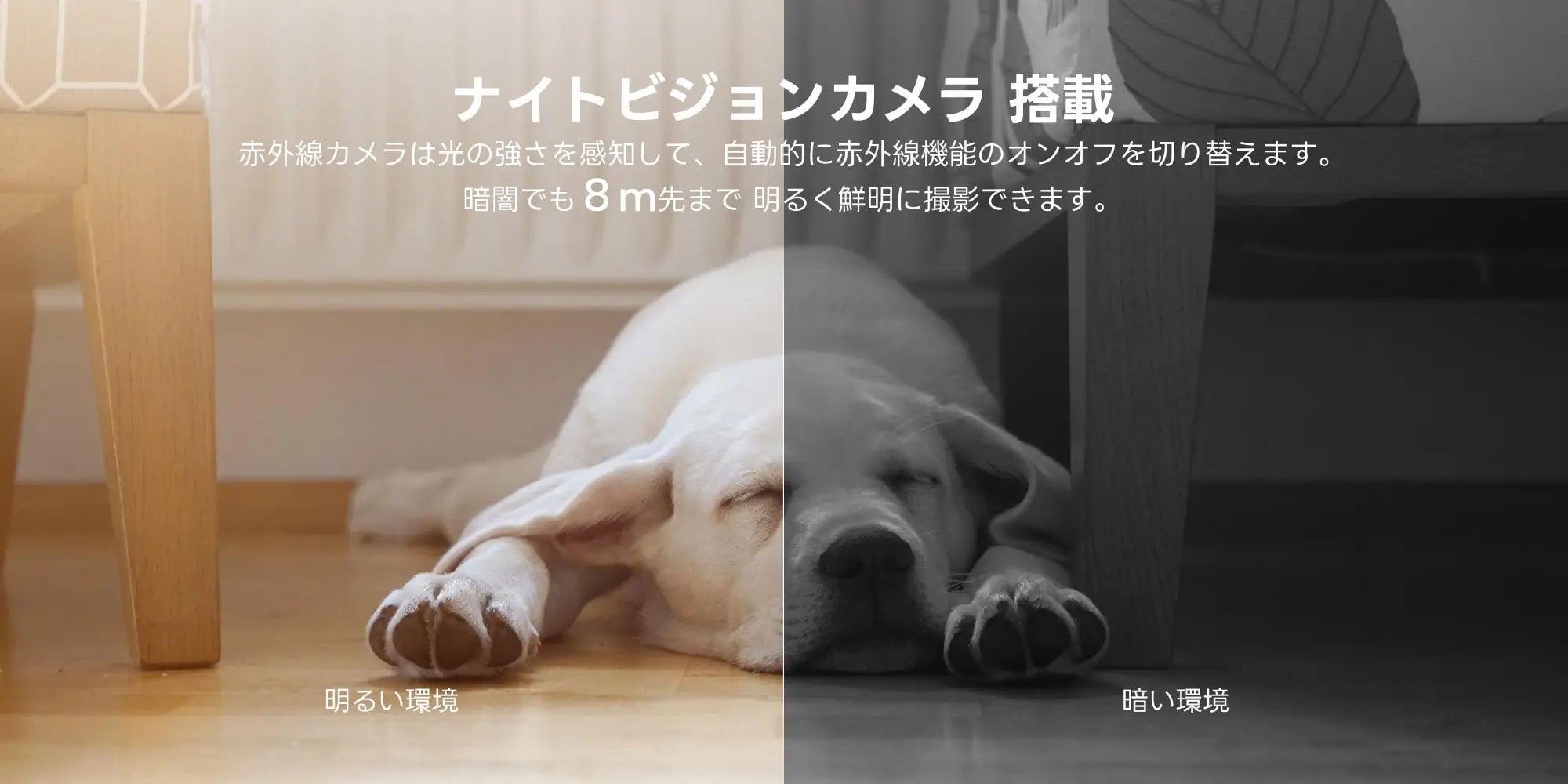 小型ペットカメラのナイトビジョン機能で犬猫をはっきり摂れる