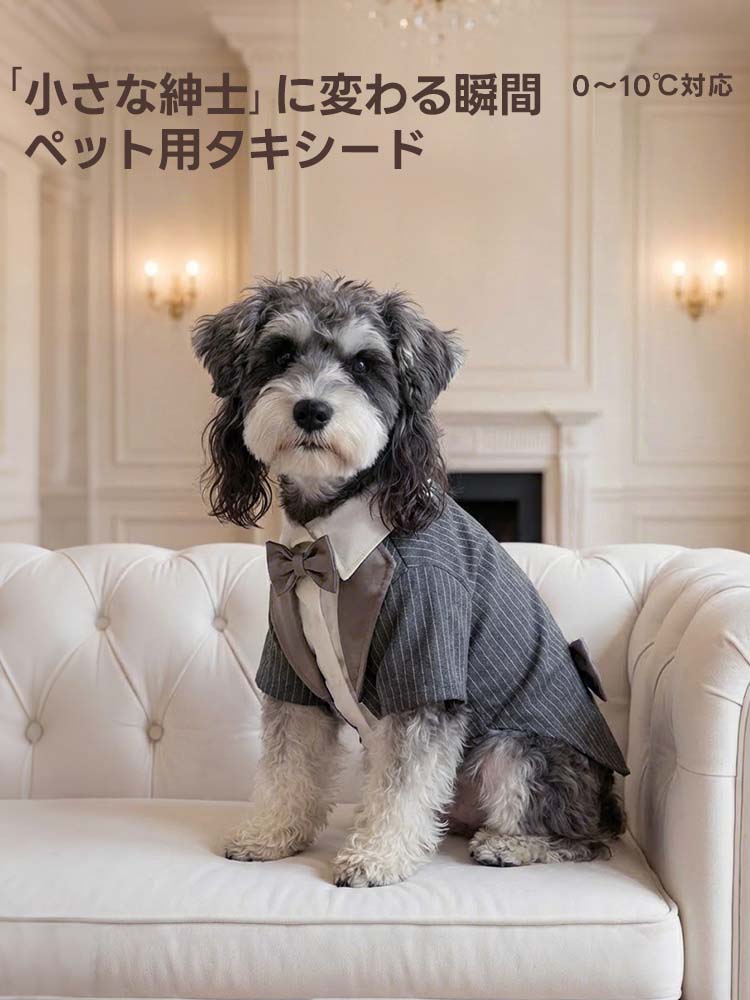 0～10℃の気温に対応した裏地付きの厚手ペット服。寒さ対策をしながら、ストライプ柄のジャケットが愛犬のシルエットを美しく整えます。ドッグカフェでの集まりや家族の記念写真など、フォーマルな装いが必要な場面に最適。