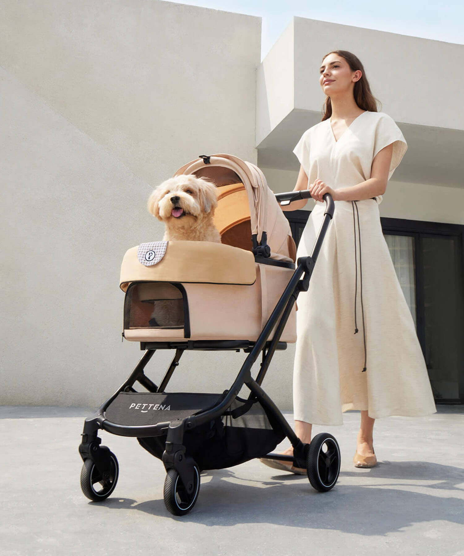 中型犬とあごのせマット付きPETTENAカートORIONで散歩