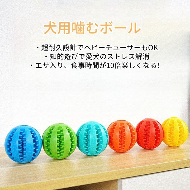 PETTENA Select 犬用噛むボール エサ入れ【２個セット】