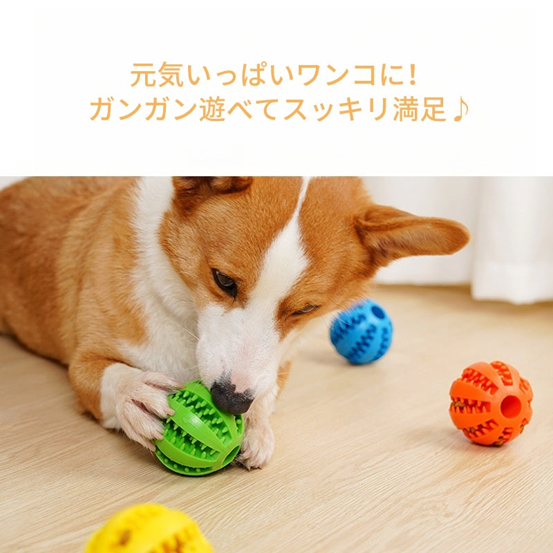 PETTENA Select 犬用噛むボール エサ入れ【２個セット】