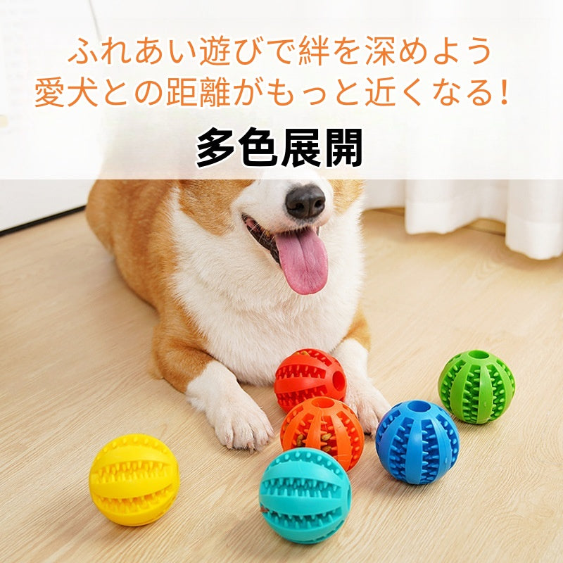 PETTENA Select 犬用噛むボール エサ入れ【２個セット】