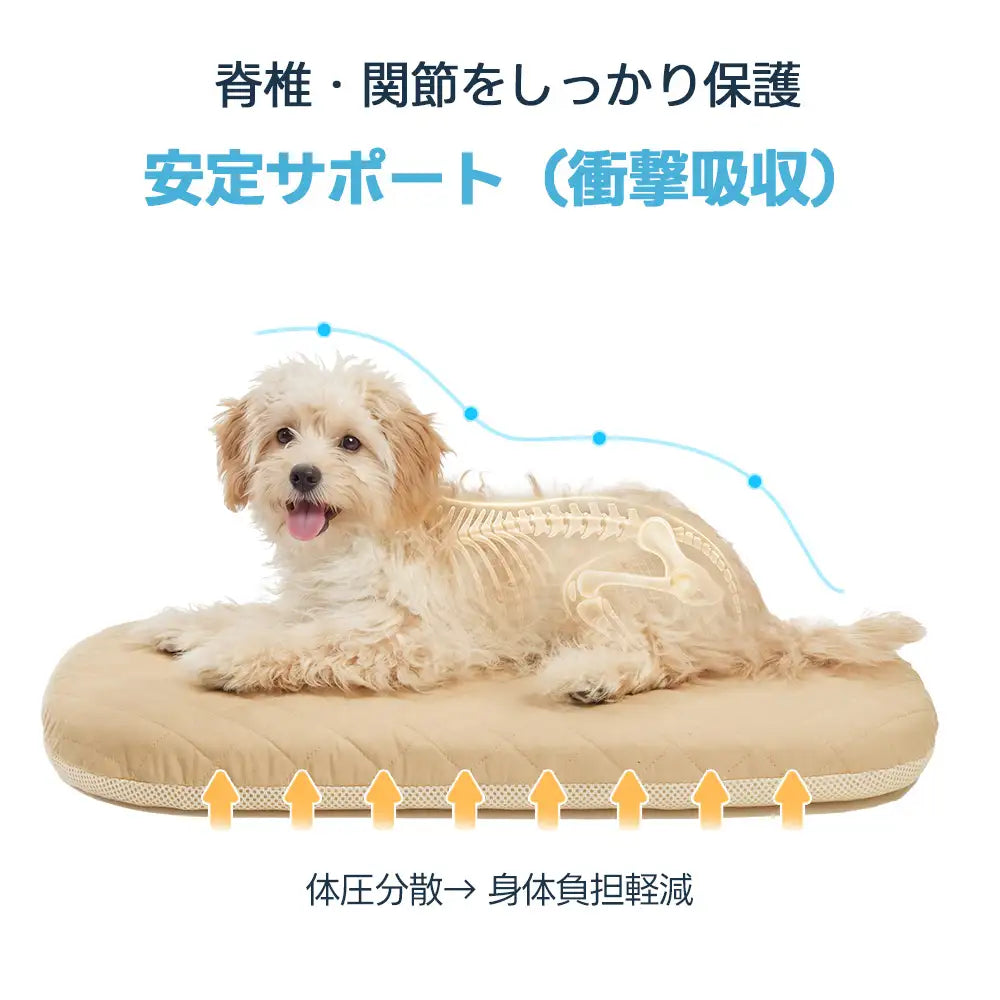 PETTENAペットカート用3Dエアクッションの体圧分散効果。横になる犬の脊椎や関節をしっかり保護し、衝撃吸収による安定サポートで身体の負担を軽減。移動中の愛犬の骨格を守るためのクッション性能を説明。