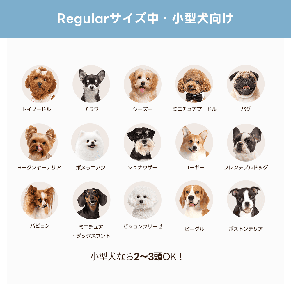 【新色登場】澄空ブルー 最上級型番 - PETTENA MILOU