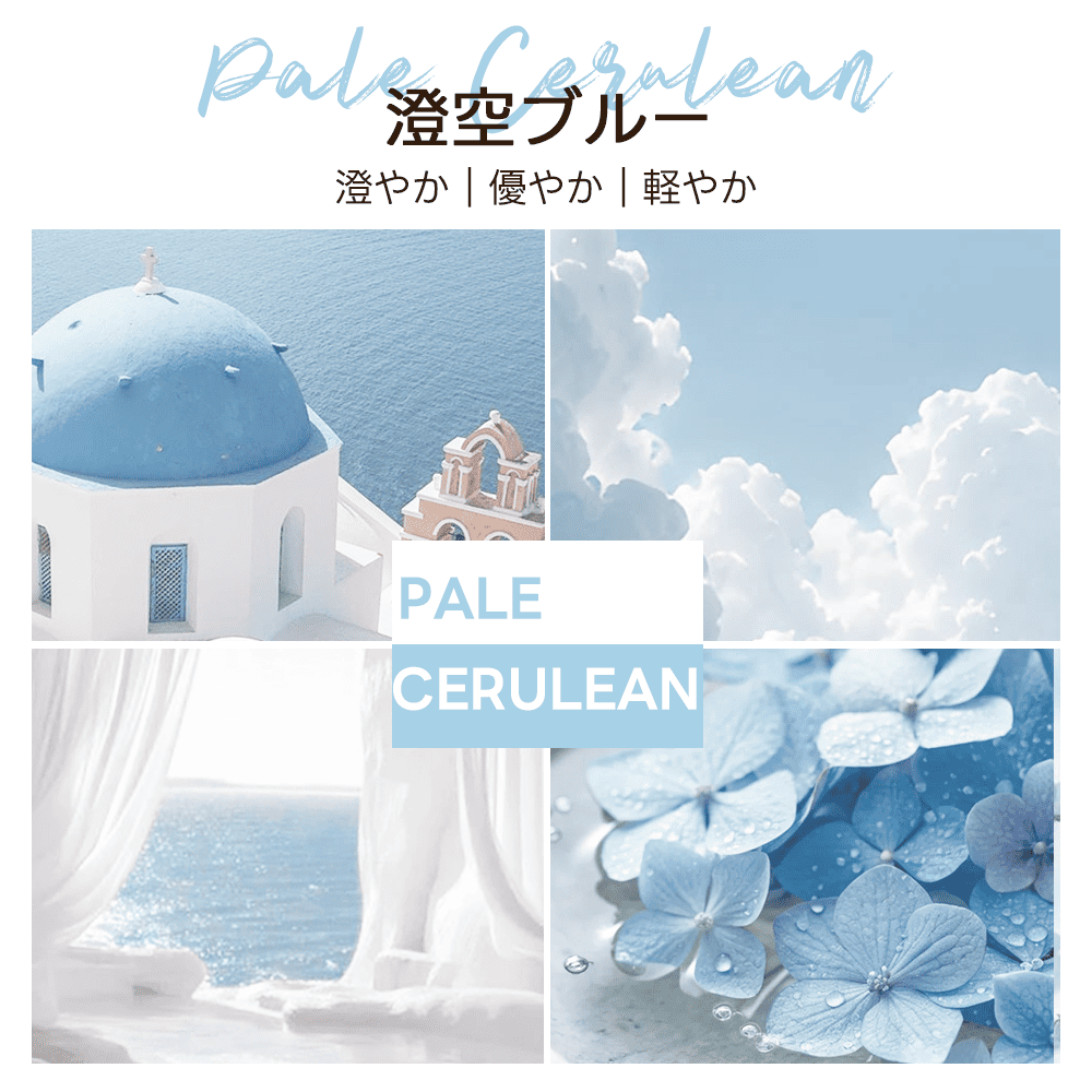 【新色登場】澄空ブルー 最上級型番 - PETTENA MILOU