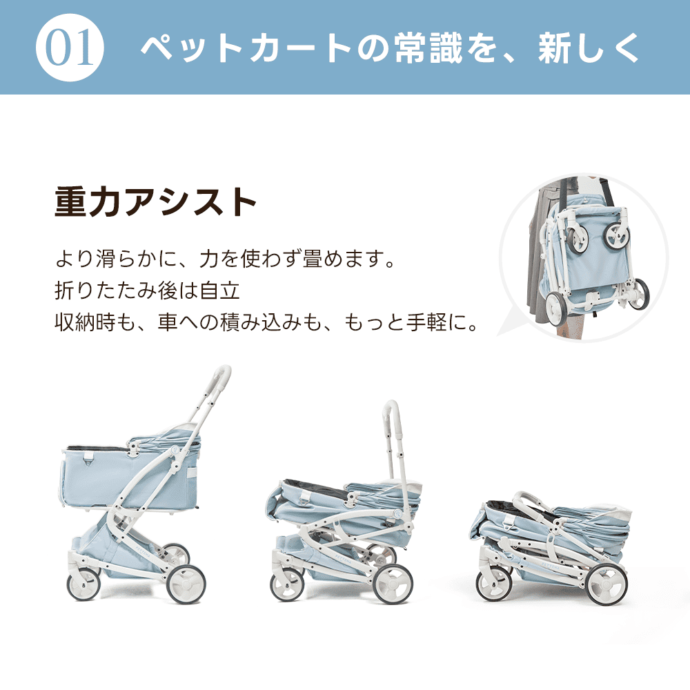 【新色登場】澄空ブルー 最上級型番 - PETTENA MILOU