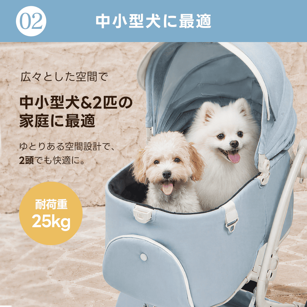 【新色登場】澄空ブルー 最上級型番 - PETTENA MILOU
