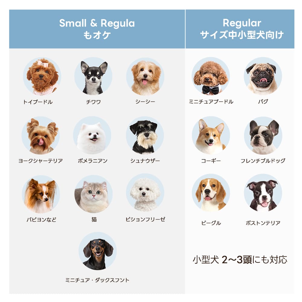 【SNS限定】PETTENA MILOU-最上級型番 新色登場 澄空ブルー