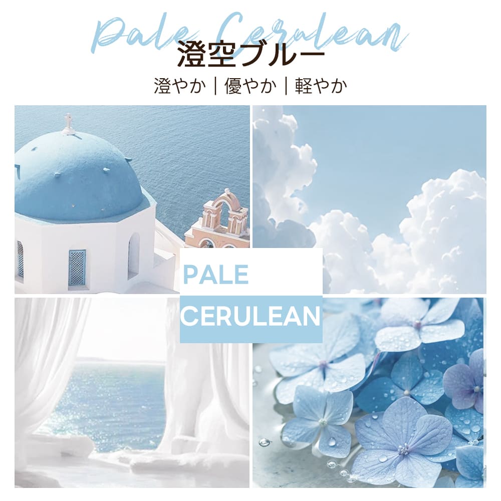 【SNS限定】PETTENA MILOU-最上級型番 新色登場 澄空ブルー
