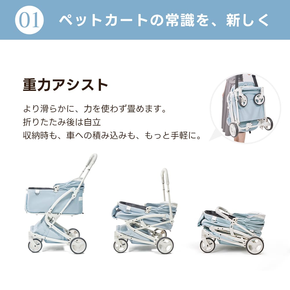 【SNS限定】PETTENA MILOU-最上級型番 新色登場 澄空ブルー