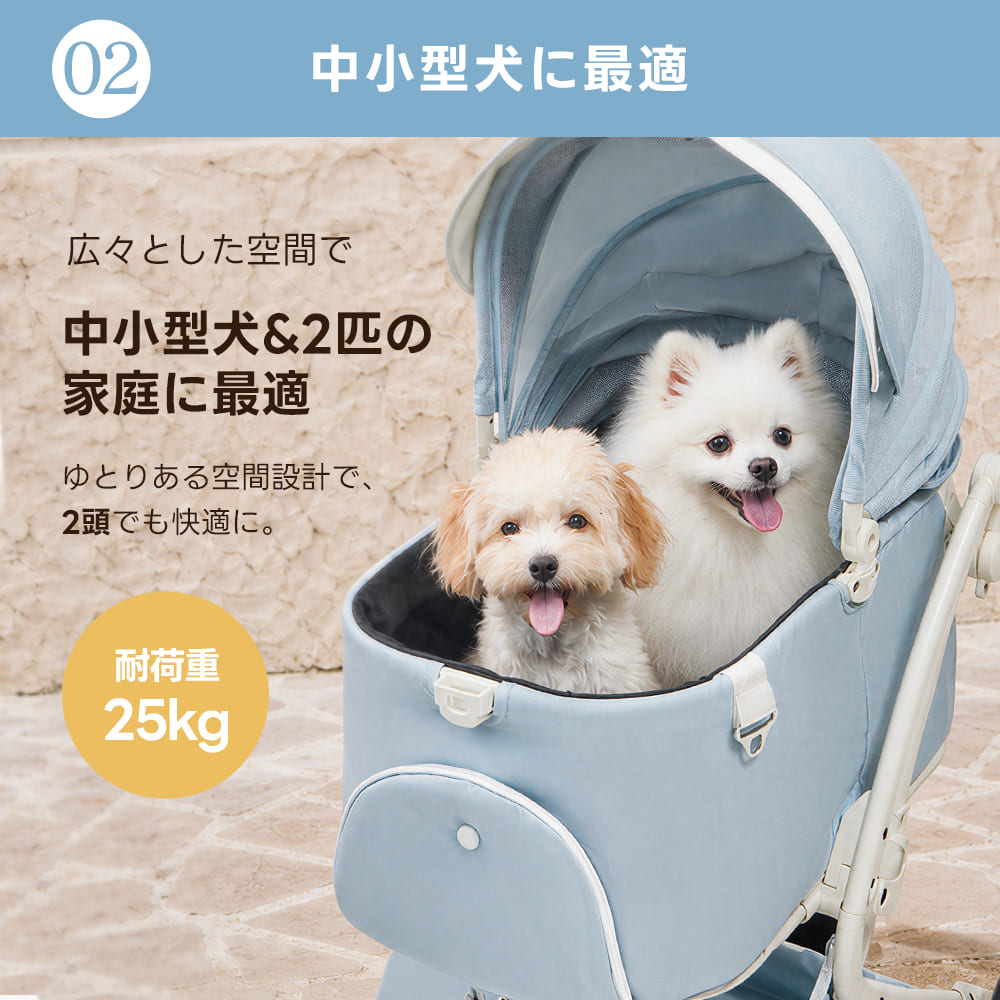 【SNS限定】PETTENA MILOU-最上級型番 新色登場 澄空ブルー