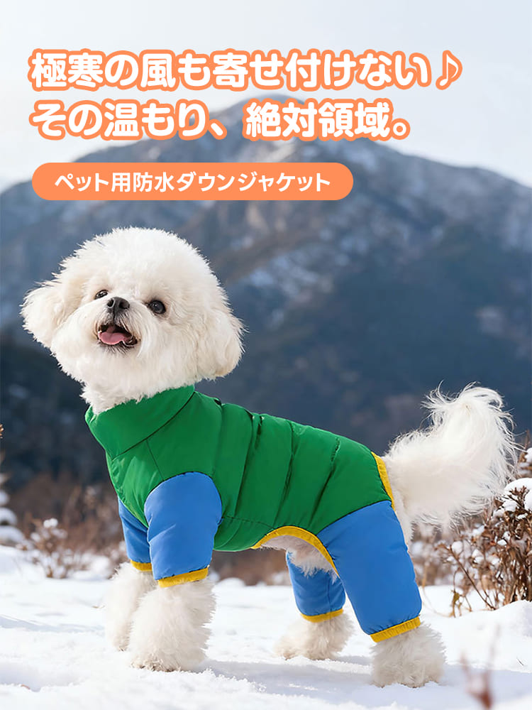 雪景色の中で映えるグリーンとブルーの犬用防水ダウンジャケット。極寒の風を防ぐ「絶対領域」の保温性と、アクティブに動ける全身カバーのデザイン。
